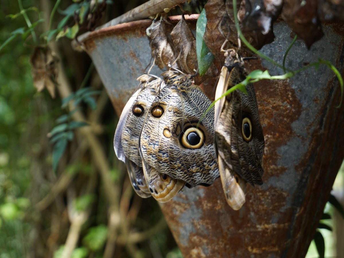 Mon top 5 des activités à faire quand on voyage&nbsp;seul(e)