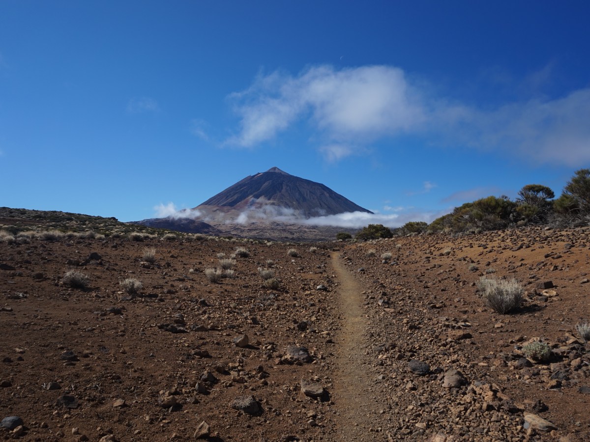 Tenerife: nature et&nbsp;volcans