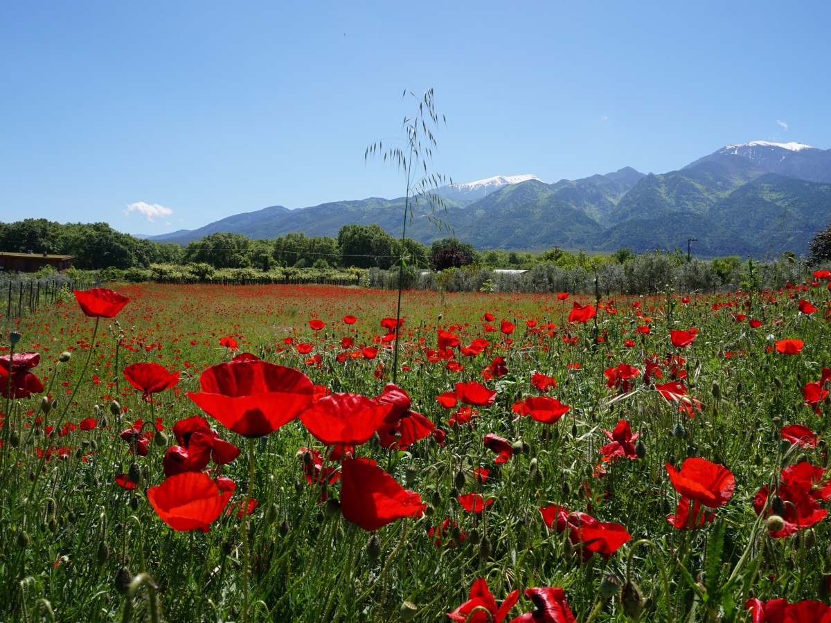 La déprime comme moteur de voyage en solo pour les&nbsp;femmes?