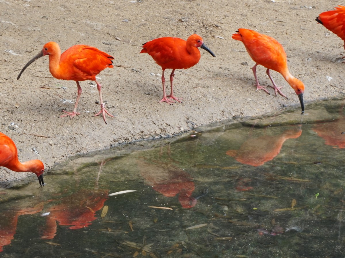 Pourquoi voyager léger