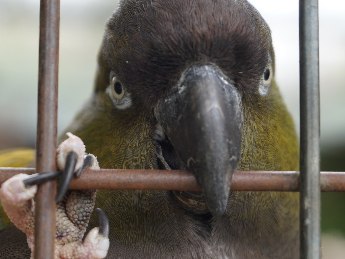Quelques réflexions sur les actions féministes qui&nbsp;marchent