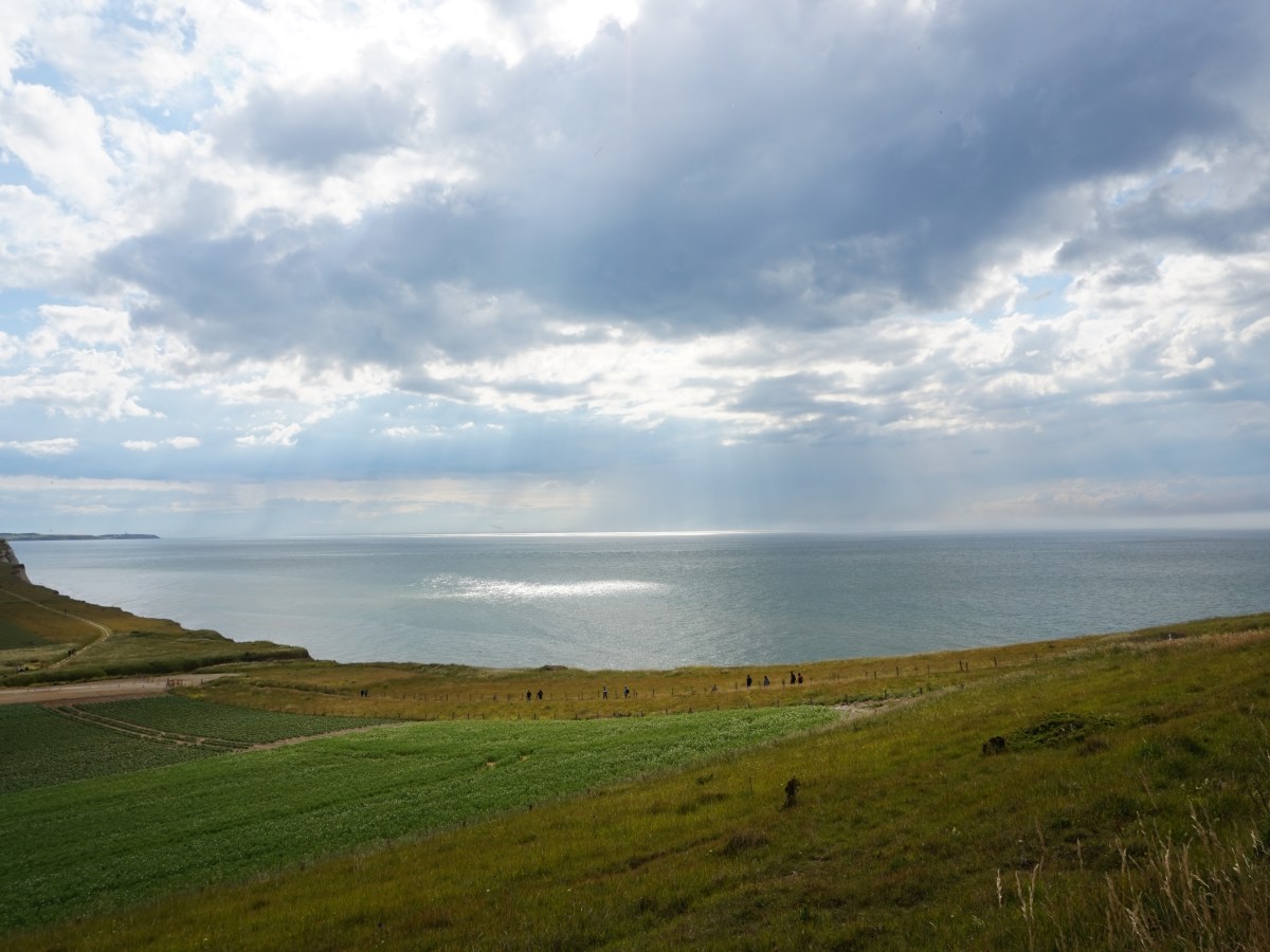 Lecture féministe: Juin