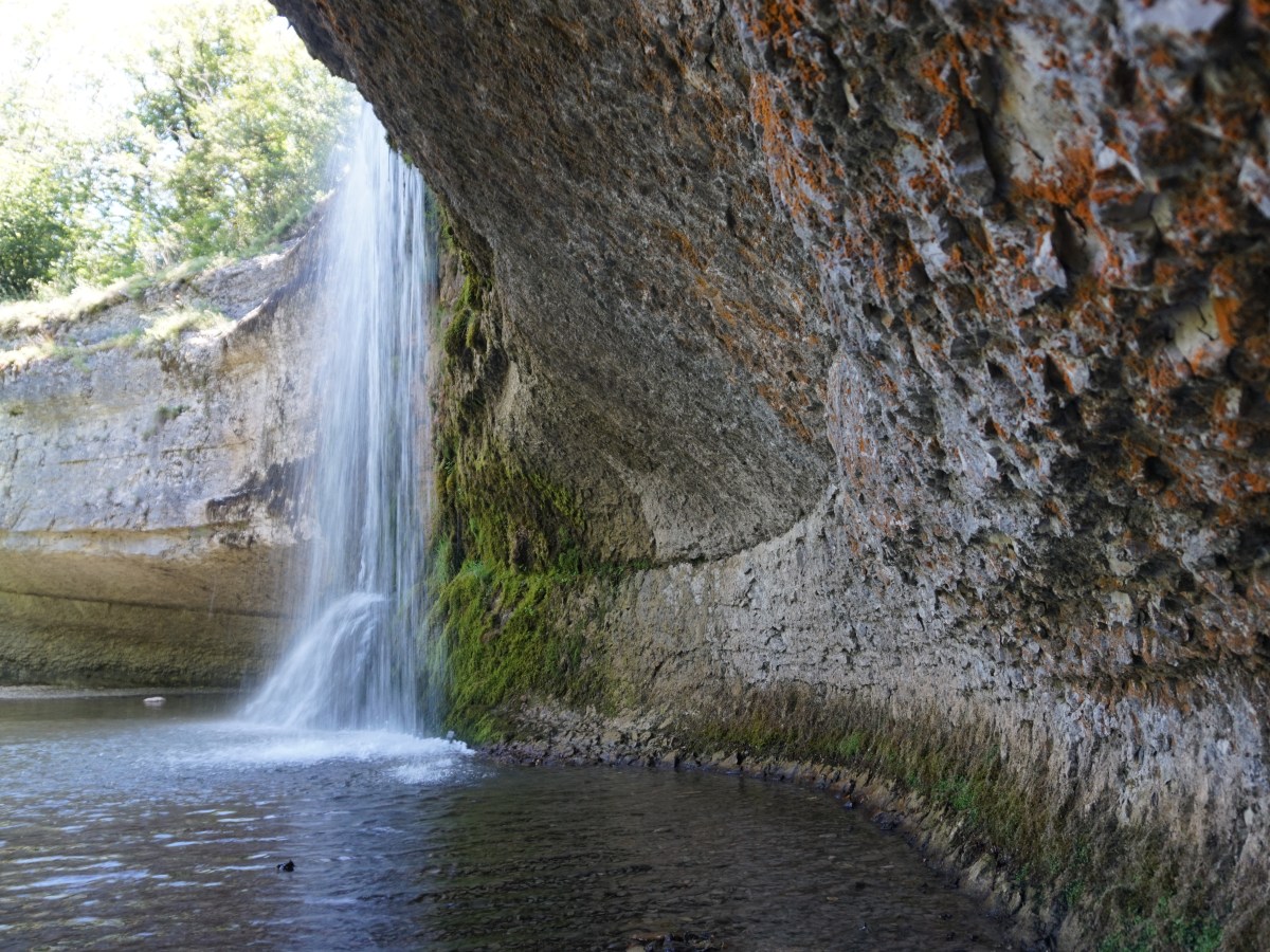 Écologie et Féminisme