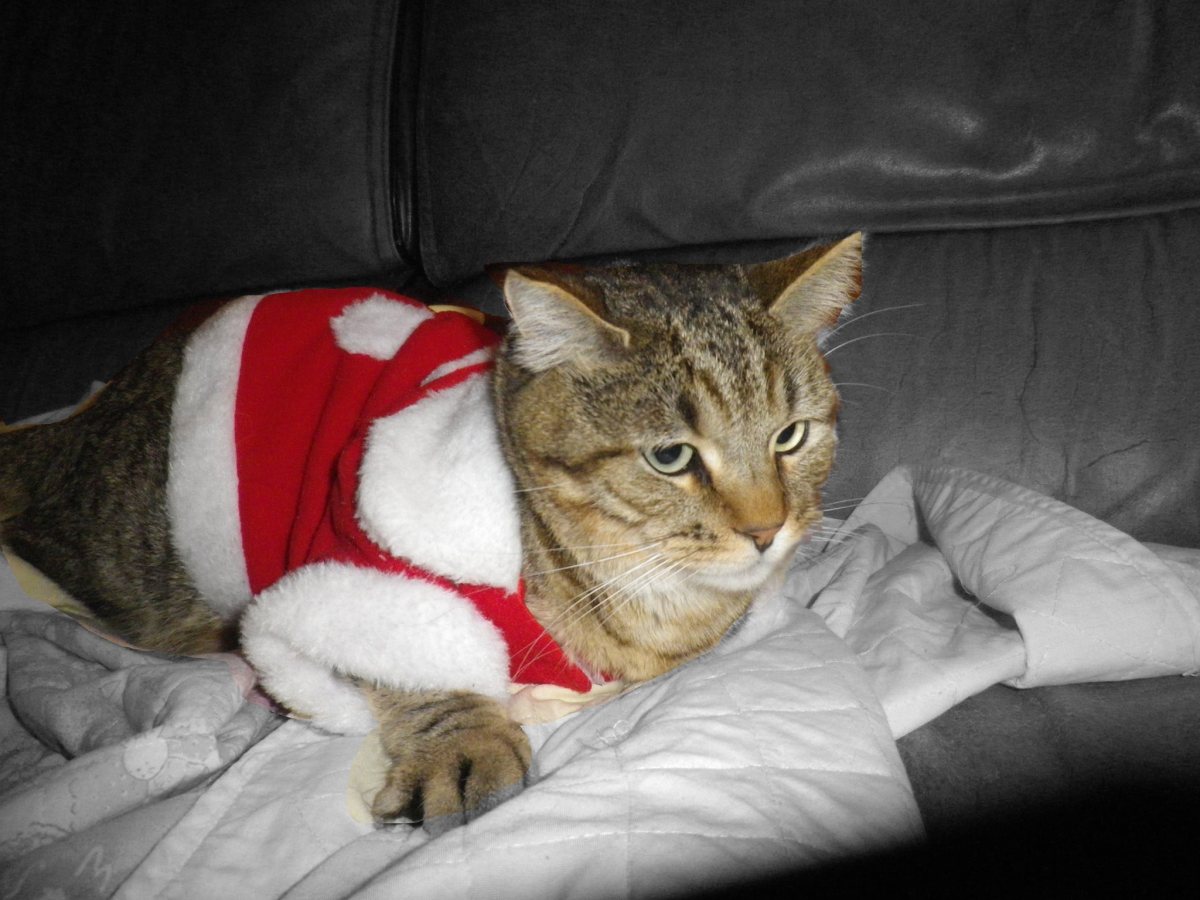 9 idées de cadeaux pour&nbsp;voyageurs