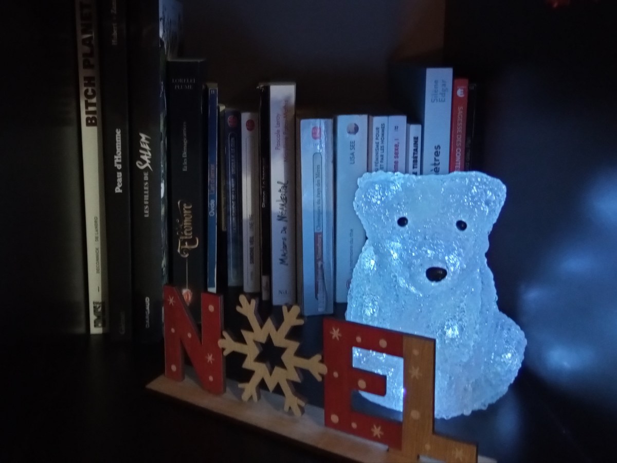 TAG – D Comme…&nbsp;Décembre