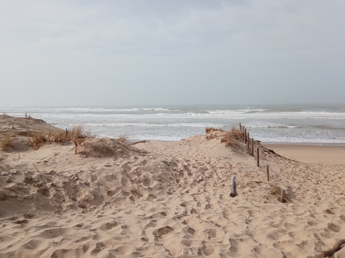 Lecture féministe: février