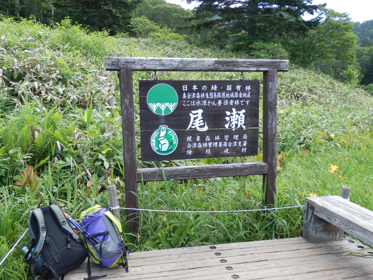 Tour de blog: Voyageuse au&nbsp;Japon